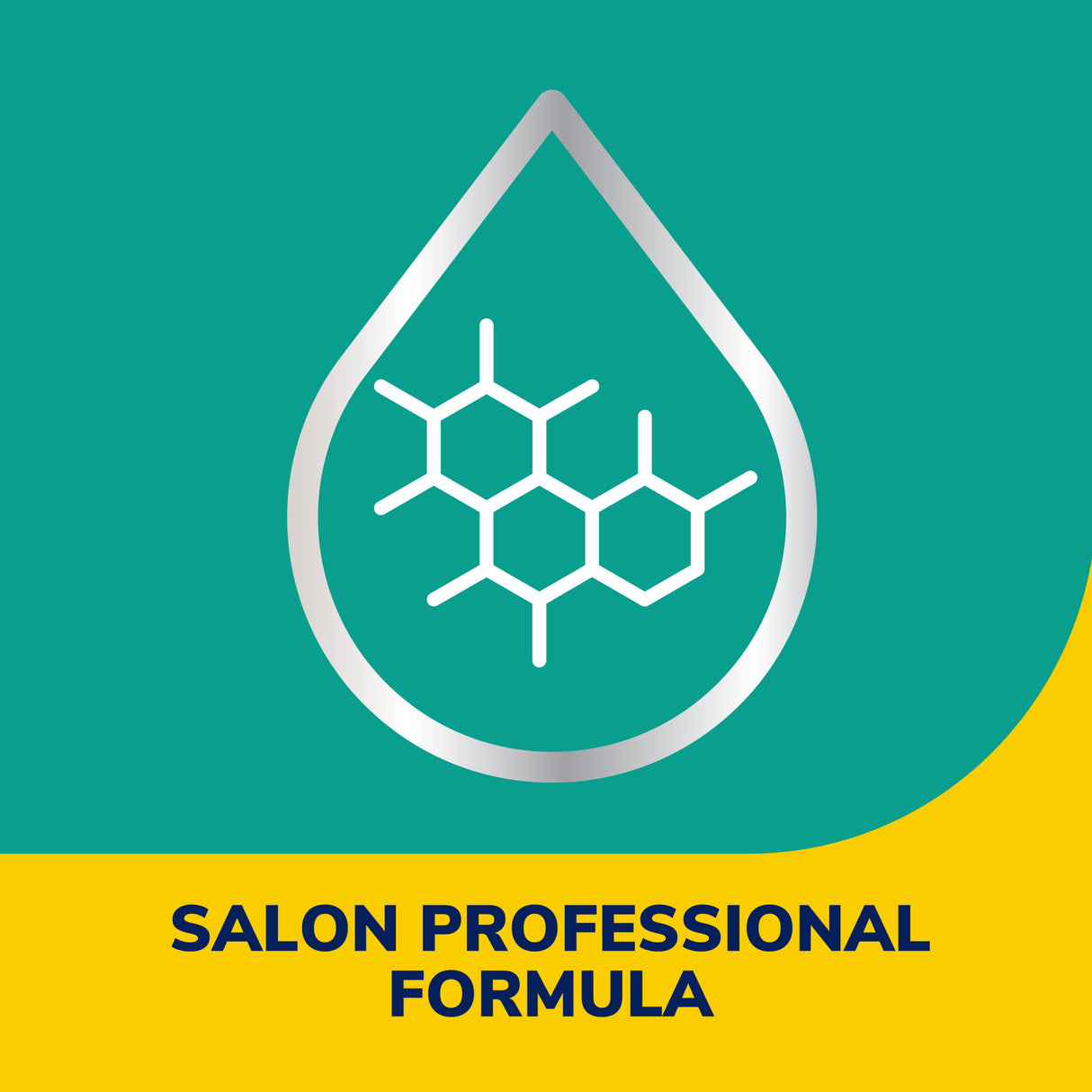 image of salon professional formula