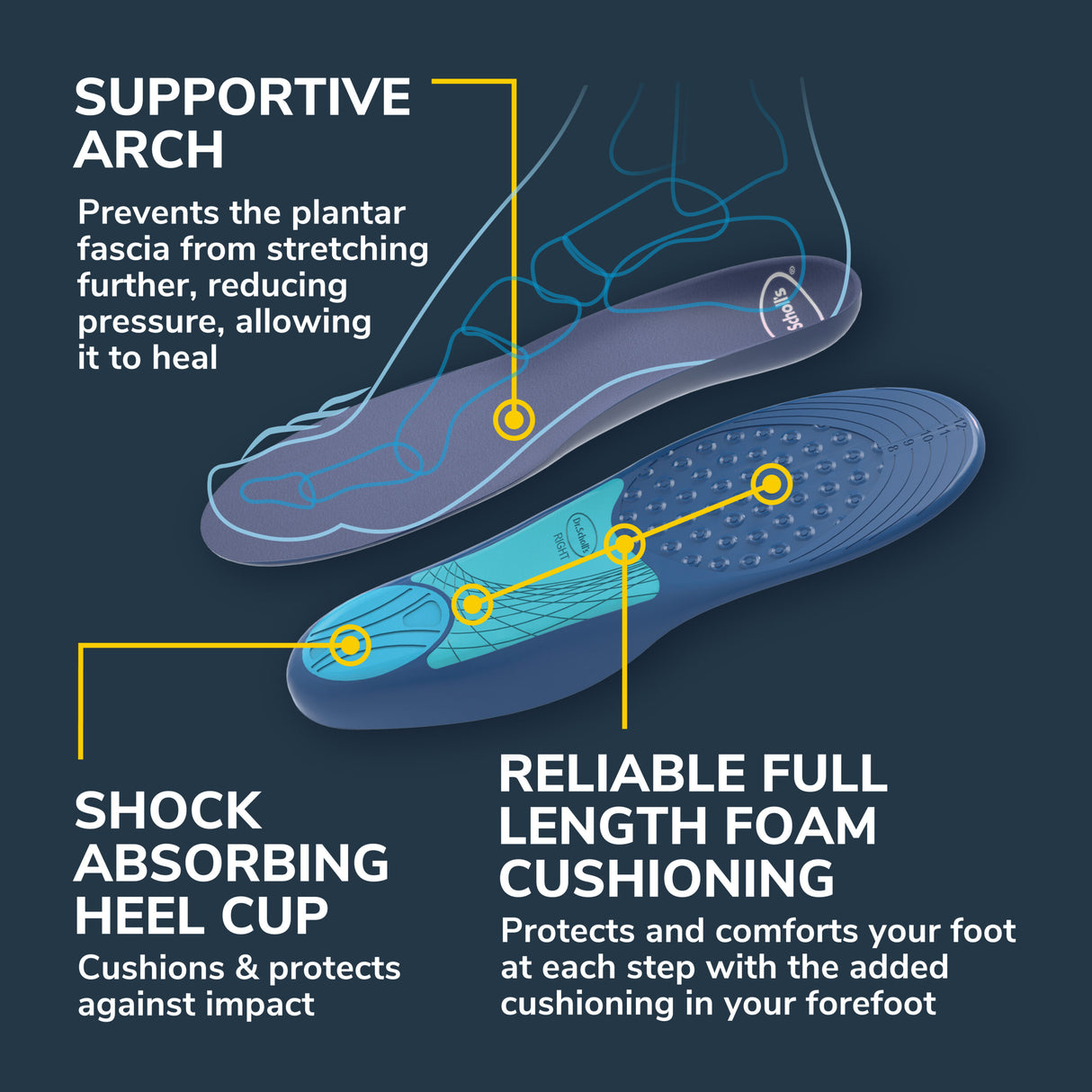 image of supportive arch shock absorbing heell cup and relieable full length foam cushioning