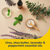 image of urea, she butter, lavender and peppermint essential oils