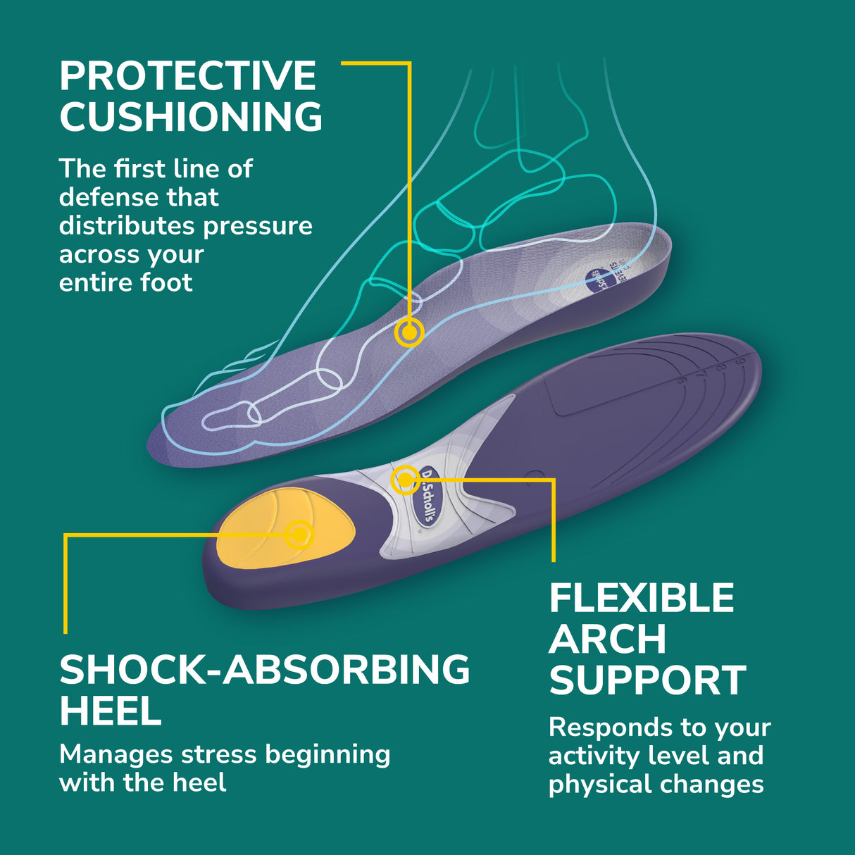 image of protective cushioning flexible arch support and shock absorbing heel
