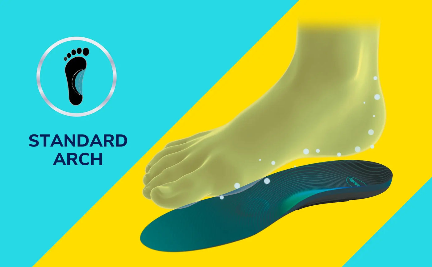 Foot with a standard arch and an insole on a blue and yellow background